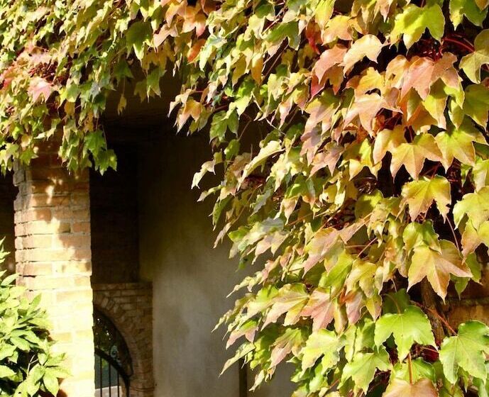 Bed and Breakfast Mas De La Filoselle