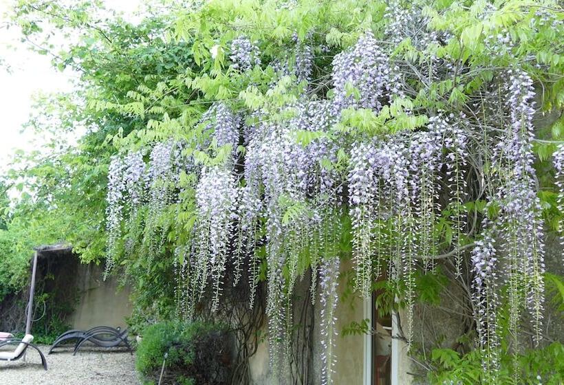 Bed and Breakfast Mas Du Puits D Amour