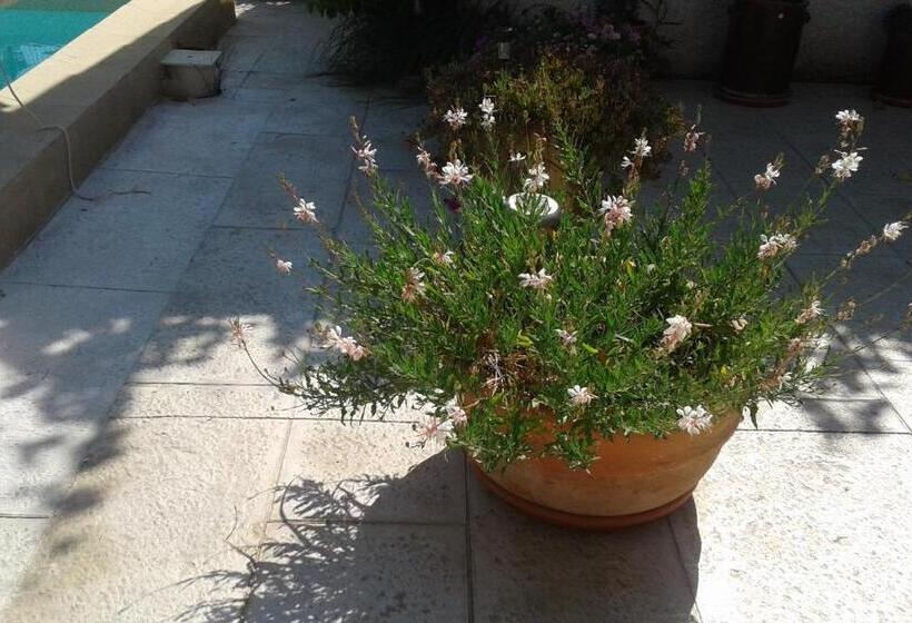 ベッドアンドブレックファースト Michèle Et Didier Lin