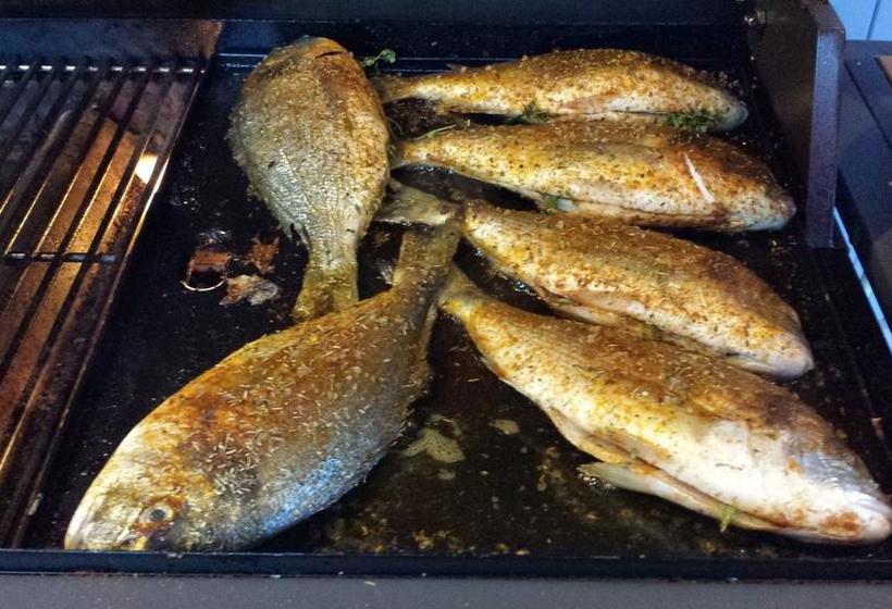 住宿加早餐  Villa Bellebo