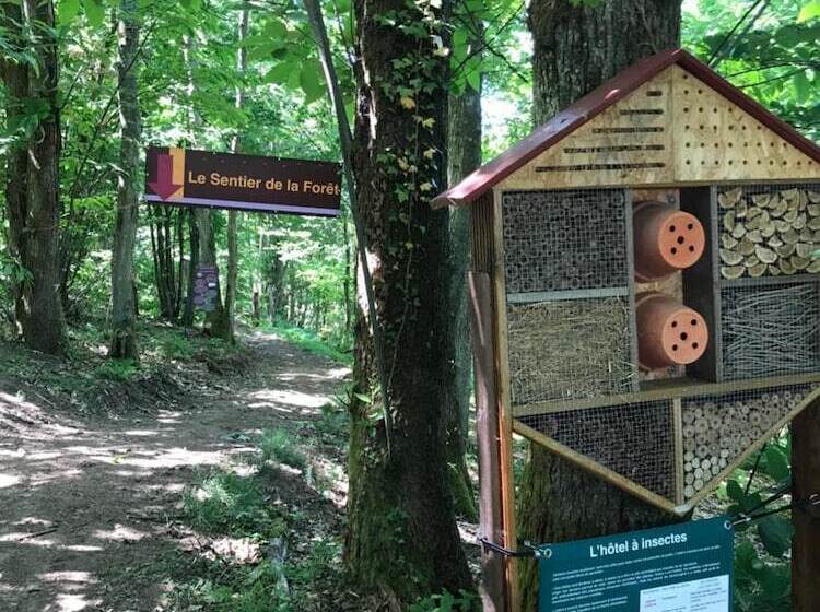 בית מלון כפרי Auberge Les Hauts De Chenas