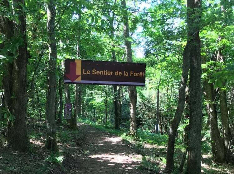 בית מלון כפרי Auberge Les Hauts De Chenas