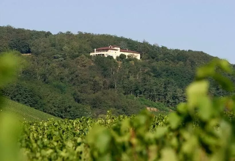 Hotelli Auberge Les Hauts De Chenas