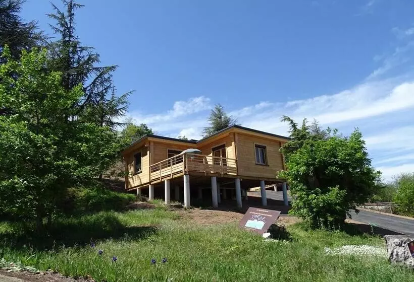 Hotelli Auberge Les Hauts De Chenas