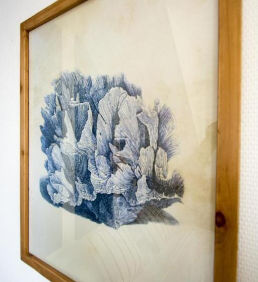 בית מלון כפרי Casa Cosy