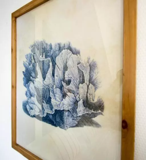 هتل Casa Cosy