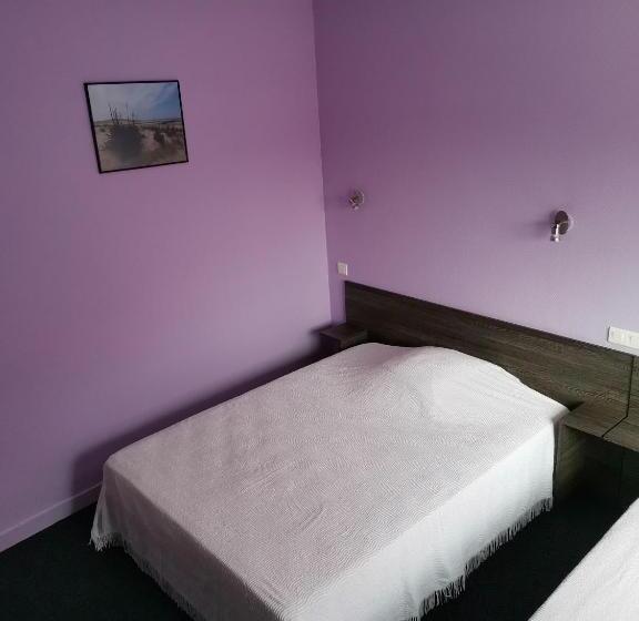 Отель Hôtel Bar Des Arènes