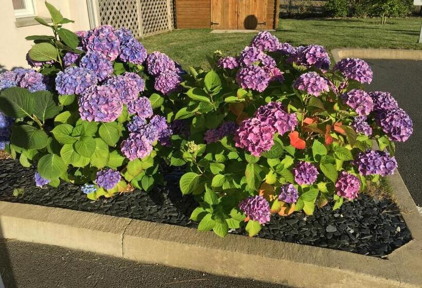 호텔 Kyriad Dol De Bretagne