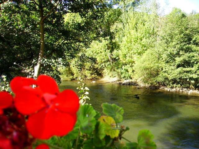 Отель La Pierre Lys