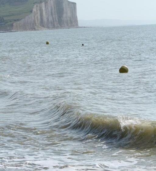 Отель Royal Albion