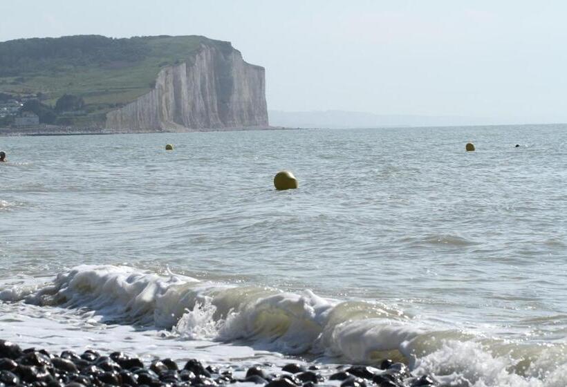 Отель Royal Albion