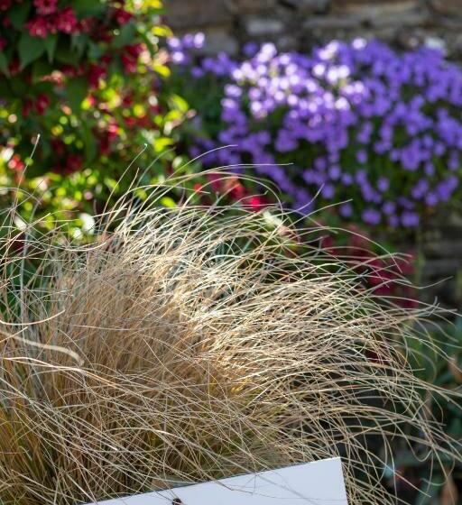 ベッドアンドブレックファースト La Metairie Du Vauhariot   Chambre Ou Lodge   Piscine Chauffée   Vue Mer Et Mont Saint Michel   Gr34