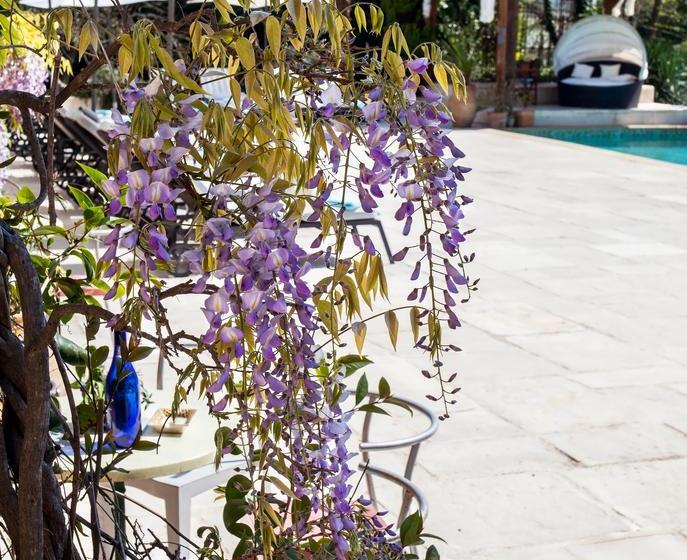 住宿加早餐  Le Mas Shabanou