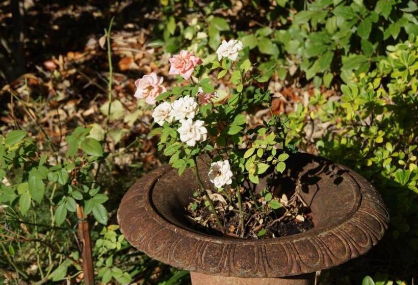 ホテル Hôtel De Charme L'orée Du Parc