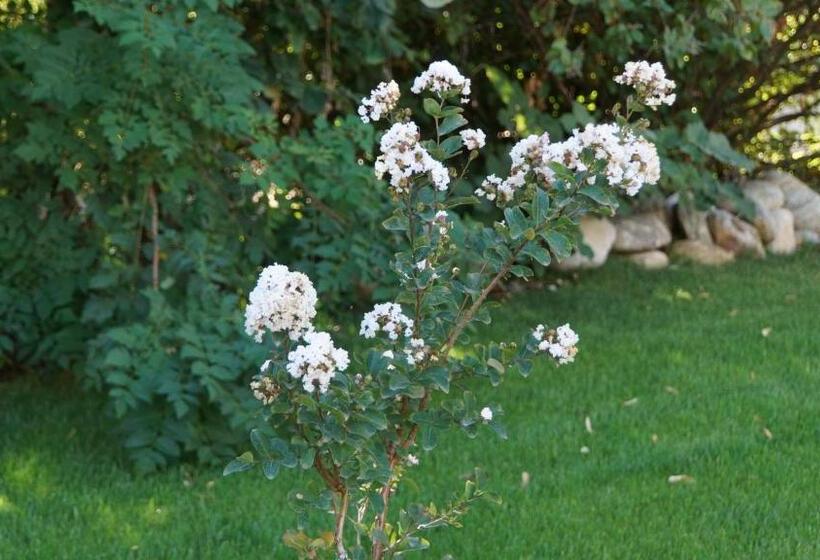 ホテル Hôtel De Charme L'orée Du Parc