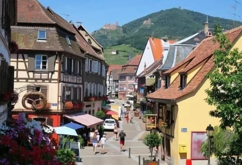 ホテル Hôtel Du Haut Koenigsbourg  Entre Vignes Et Château