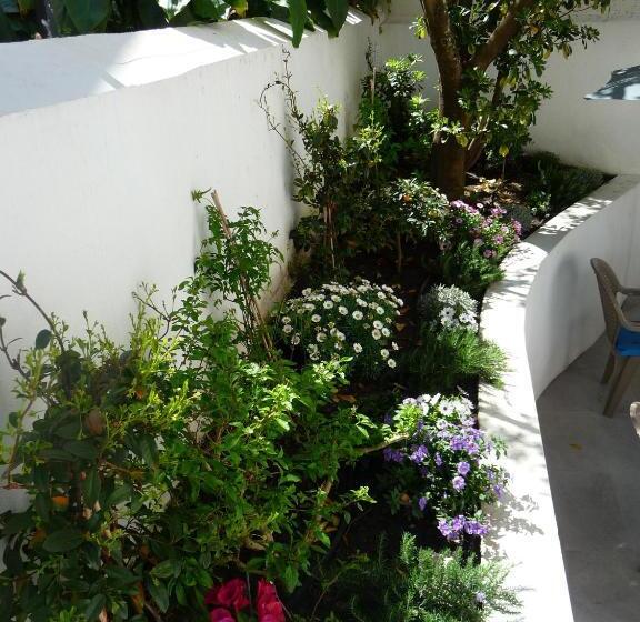 Отель Hôtel Le Saphir