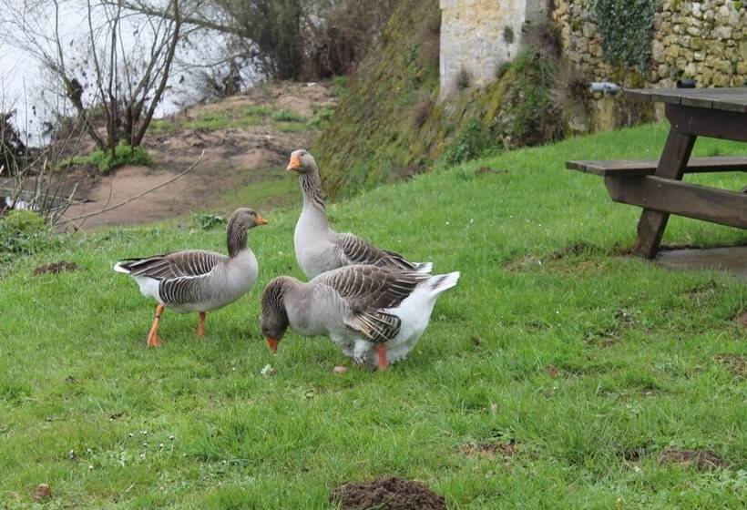 Отель Hôtel Restaurant Côté Rivage