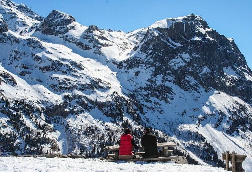 酒店 Le Télémark