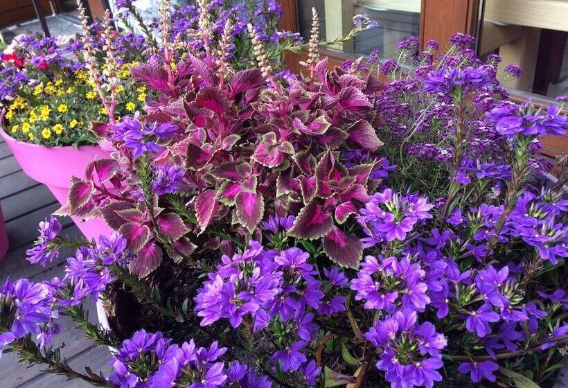 בית מלון כפרי Oustalet