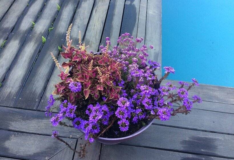 בית מלון כפרי Oustalet