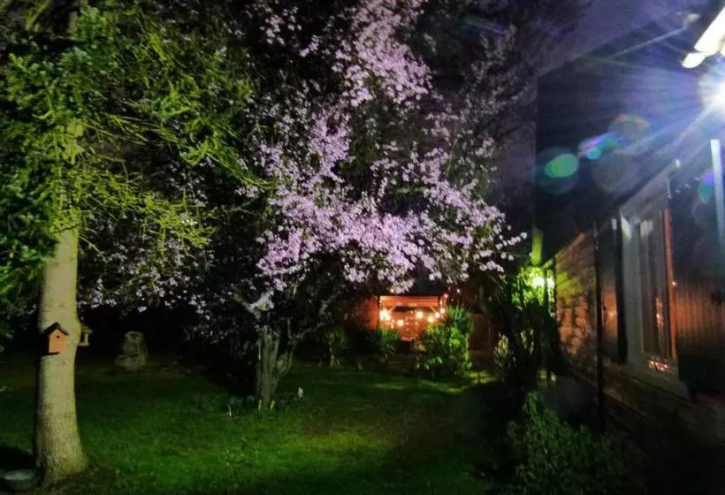 Hôtel Motel Papea