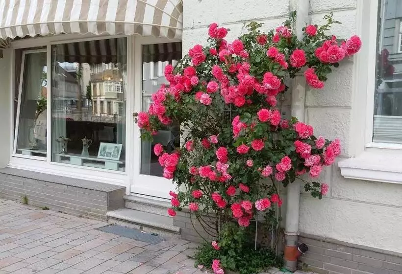 ホテル & Café Kleinergrünauer