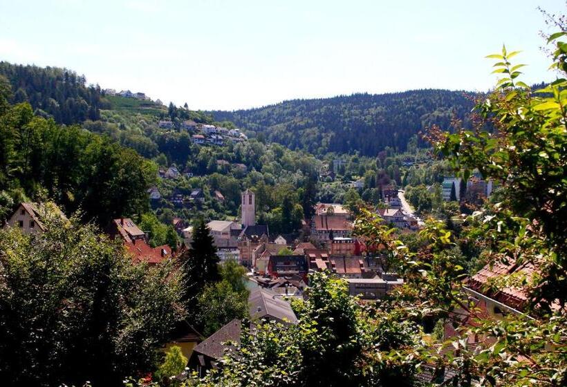 בית מלון כפרי Cafe Adler