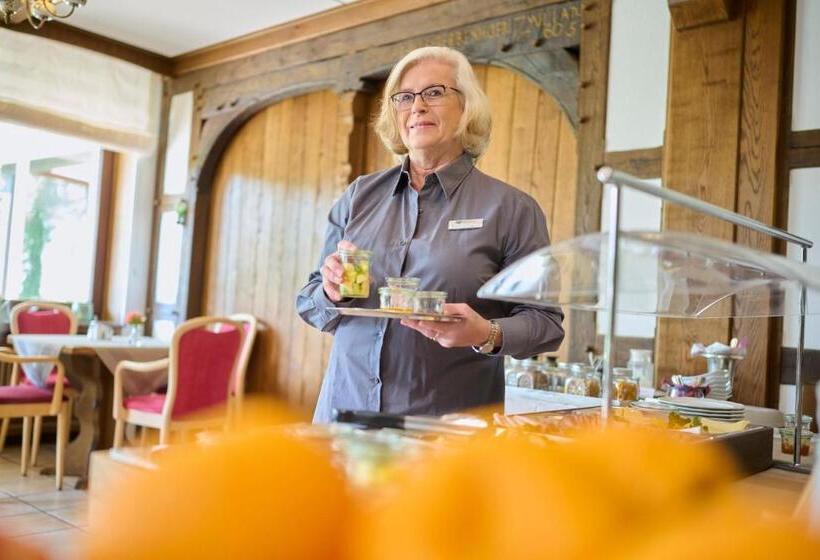 Отель Kurhaus Pivittskrug