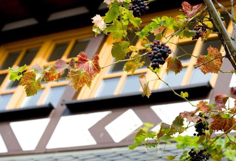 酒店 Landgasthof Rebstock