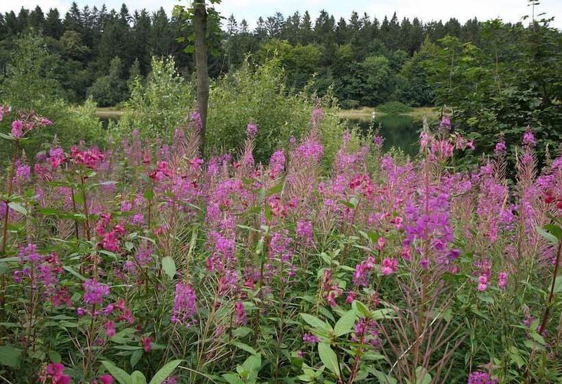 ホテル Waldsee Feriendienst Ferienpark Am Waldsee