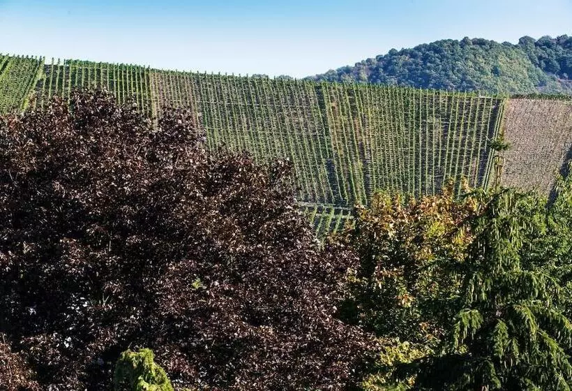ホテル Weinhaus Weis