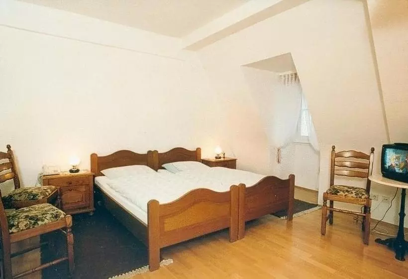 Hotelli Zum Pfalzgrafen