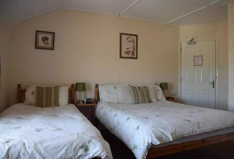 ベッドアンドブレックファースト Kingsleigh Guest House