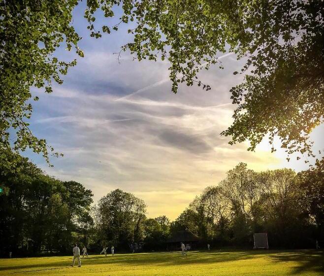 Bed and Breakfast The Barrington Boar
