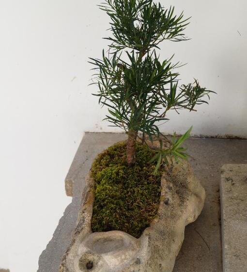 هتل Gul Hanim House Boutique