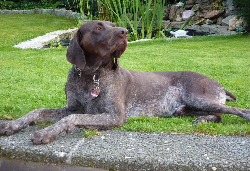 هتل Landhaus Fischer