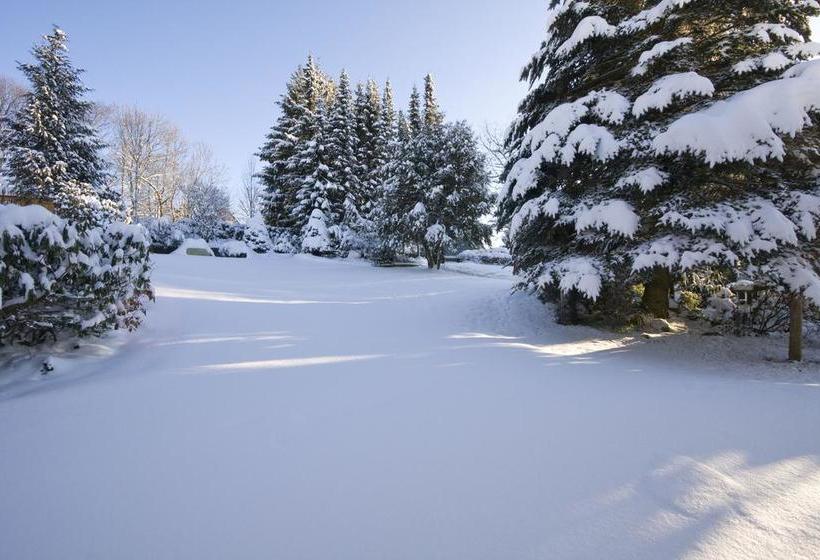 هتل Landhaus Fischer