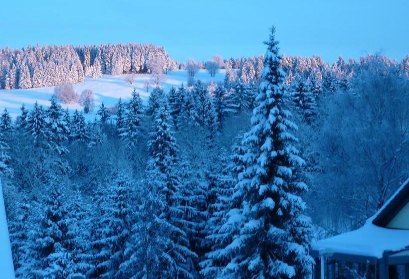 هتل Landhaus Fischer