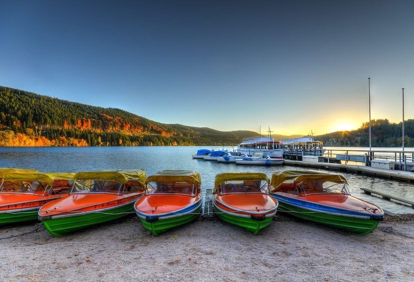 Hotel Sonnenberg Garni