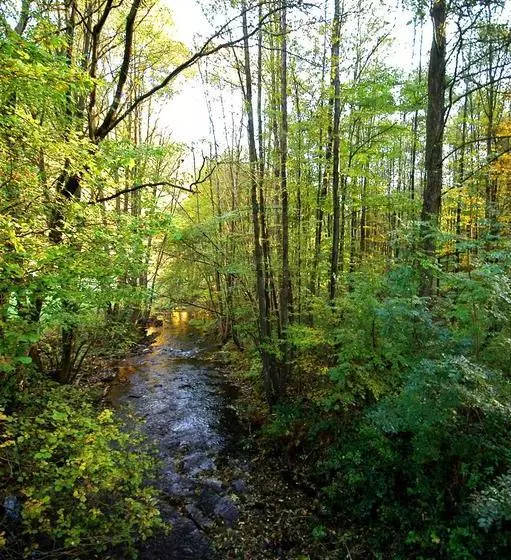 ホテル Wald Im Wiesengrund