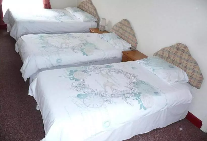 Bed and Breakfast Beijing Dragon