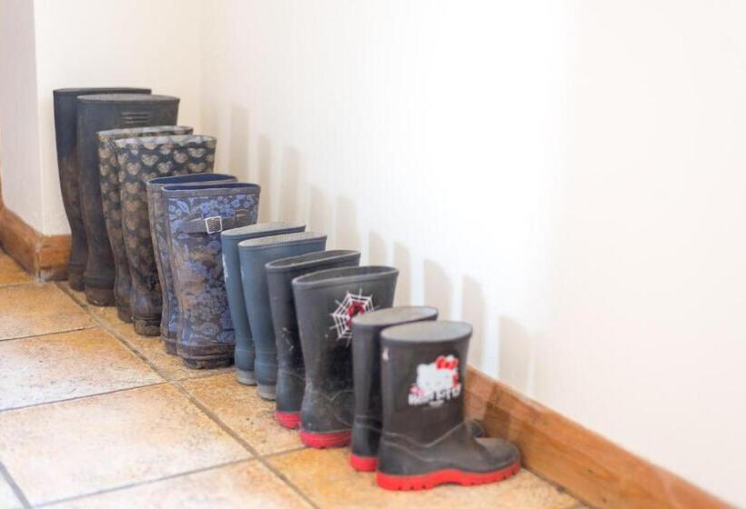 مبيت وإفطار Little Abbey Farm