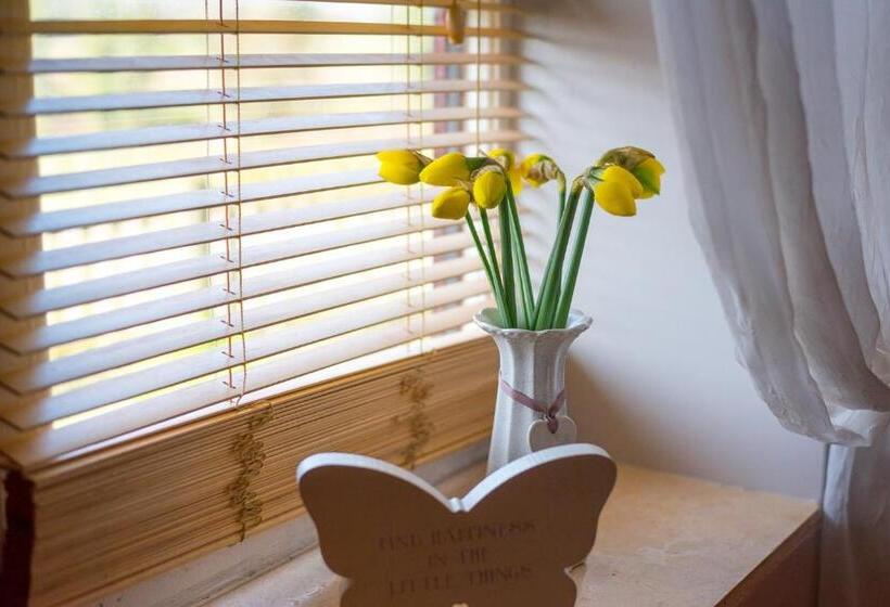 مبيت وإفطار Little Abbey Farm