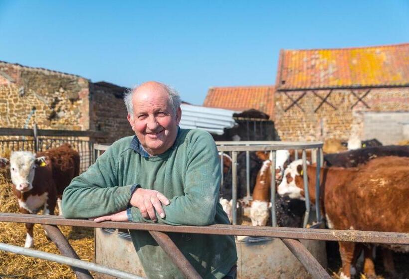 مبيت وإفطار Little Abbey Farm