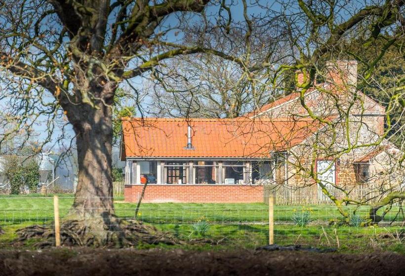 مبيت وإفطار Little Abbey Farm