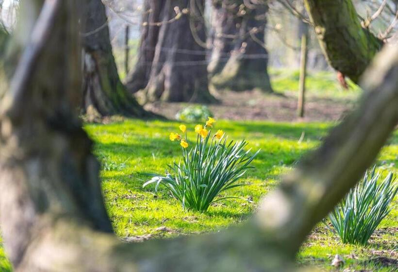 مبيت وإفطار Little Abbey Farm