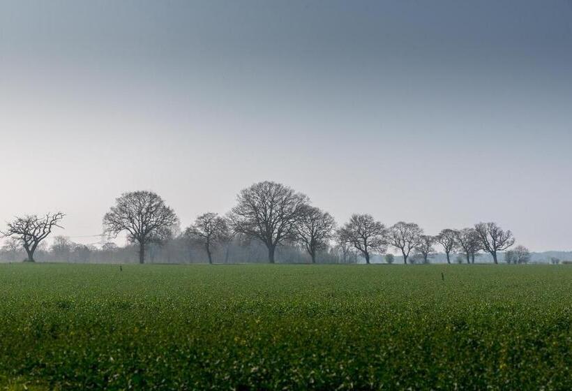 مبيت وإفطار Little Abbey Farm