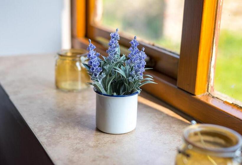 مبيت وإفطار Little Abbey Farm