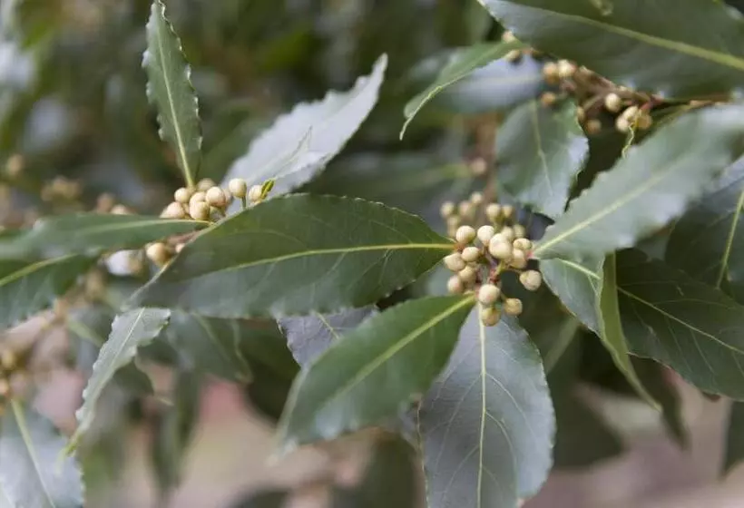 هتل Bay Tree Broadstairs